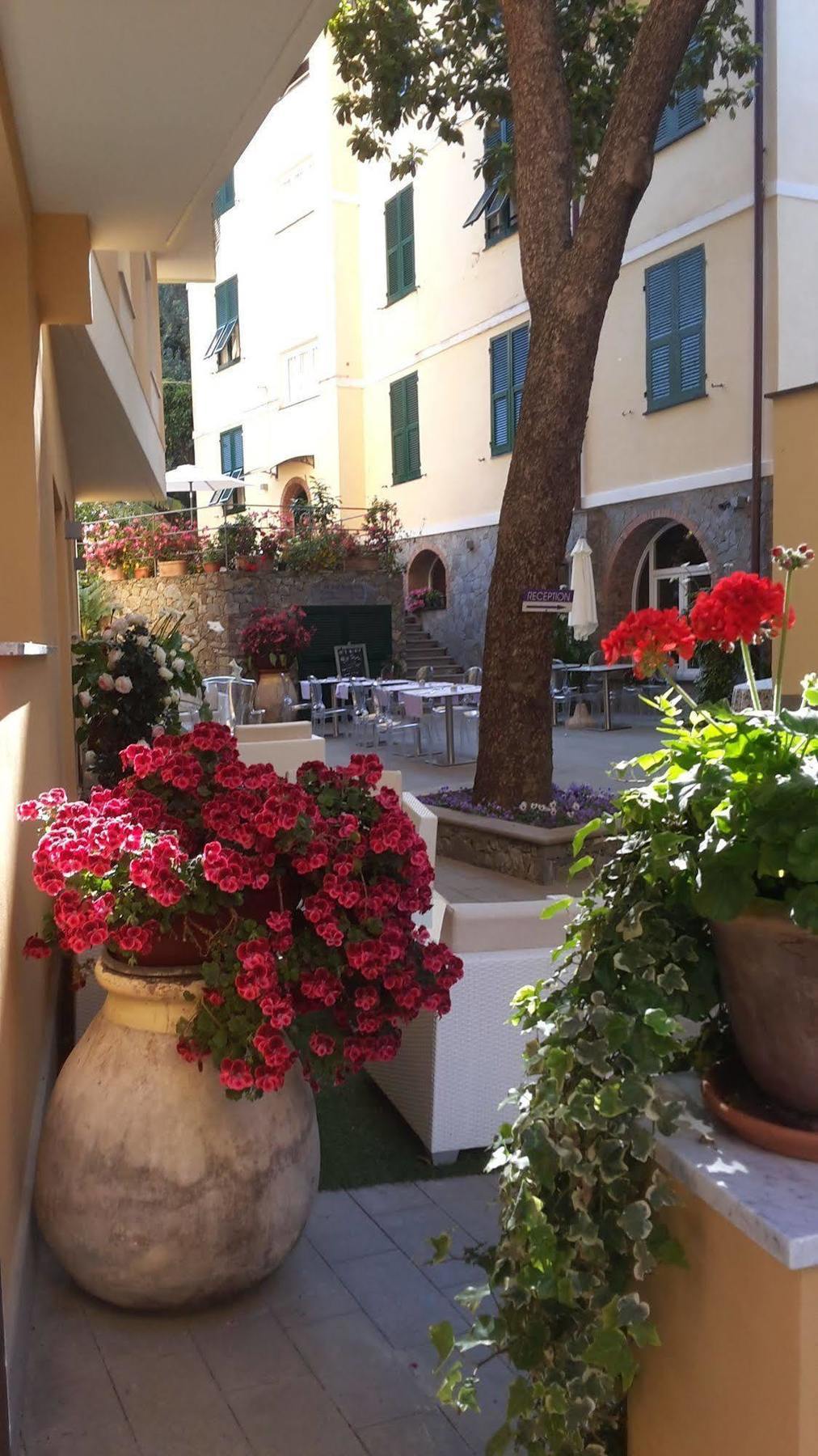 Hotel Souvenir Monterosso al Mare Kültér fotó